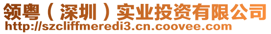 領(lǐng)粵（深圳）實(shí)業(yè)投資有限公司