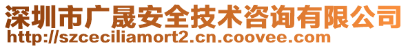 深圳市廣晟安全技術咨詢有限公司