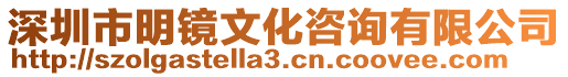 深圳市明鏡文化咨詢有限公司
