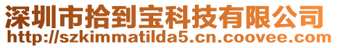 深圳市拾到寶科技有限公司
