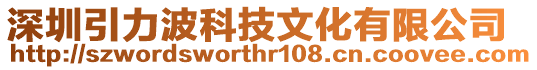 深圳引力波科技文化有限公司