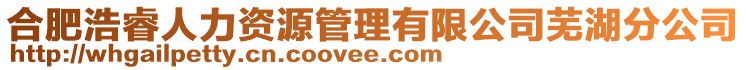 合肥浩睿人力資源管理有限公司蕪湖分公司