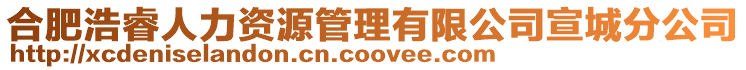 合肥浩睿人力資源管理有限公司宣城分公司