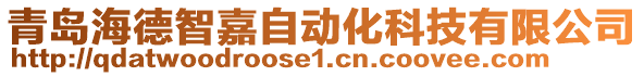 青島海德智嘉自動化科技有限公司