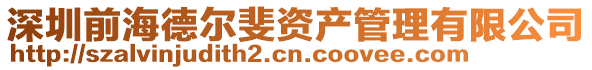 深圳前海德爾斐資產(chǎn)管理有限公司