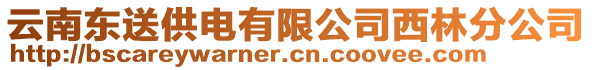 云南東送供電有限公司西林分公司