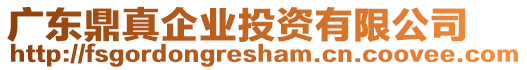 廣東鼎真企業(yè)投資有限公司