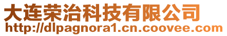 大連榮治科技有限公司