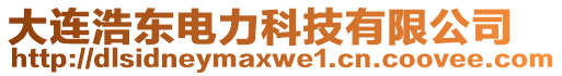 大連浩東電力科技有限公司