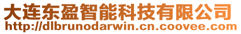 大連東盈智能科技有限公司