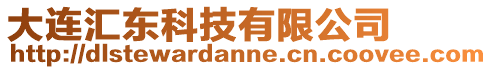 大連匯東科技有限公司