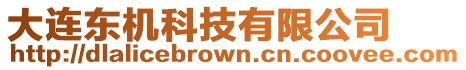 大連東機科技有限公司