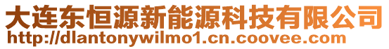 大連東恒源新能源科技有限公司