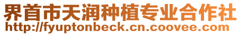 界首市天潤種植專業合作社