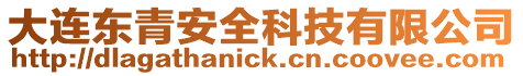大連東青安全科技有限公司