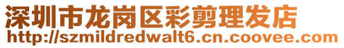 深圳市龍崗區彩剪理發店