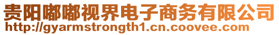 貴陽(yáng)嘟嘟視界電子商務(wù)有限公司