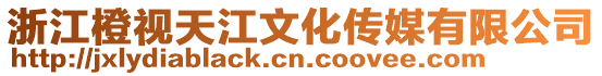浙江橙視天江文化傳媒有限公司