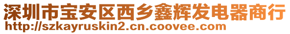 深圳市宝安区西乡鑫辉发电器商行