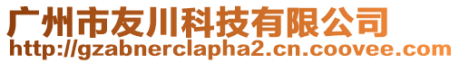 廣州市友川科技有限公司