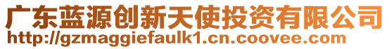 廣東藍源創新天使投資有限公司