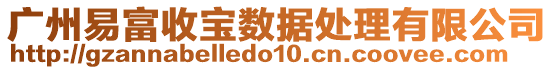 廣州易富收寶數(shù)據(jù)處理有限公司