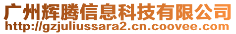 廣州輝騰信息科技有限公司