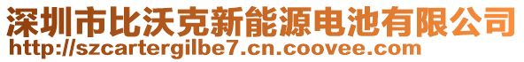 深圳市比沃克新能源電池有限公司