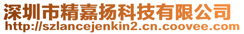 深圳市精嘉揚科技有限公司