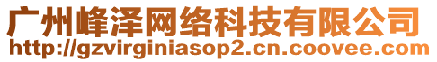 廣州峰澤網絡科技有限公司