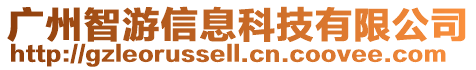 廣州智游信息科技有限公司