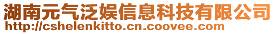湖南元氣泛娛信息科技有限公司