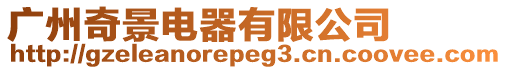 廣州奇景電器有限公司
