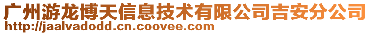 廣州游龍博天信息技術有限公司吉安分公司