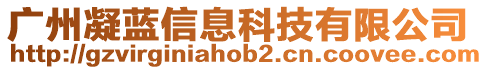 廣州凝藍信息科技有限公司