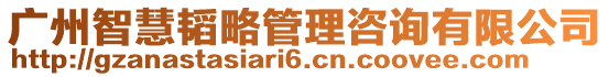 廣州智慧韜略管理咨詢有限公司
