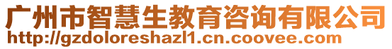廣州市智慧生教育咨詢有限公司