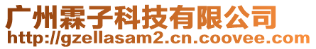廣州霖子科技有限公司