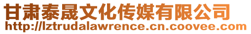 甘肅泰晟文化傳媒有限公司