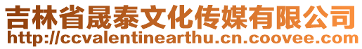 吉林省晟泰文化傳媒有限公司