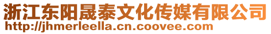 浙江東陽晟泰文化傳媒有限公司