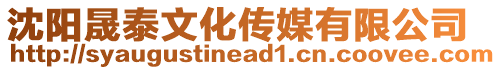 沈陽晟泰文化傳媒有限公司