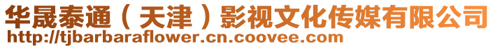 華晟泰通(天津)影視文化傳媒有限公司