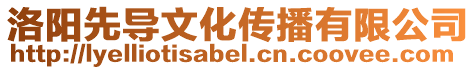洛陽先導文化傳播有限公司