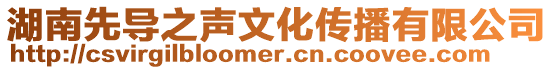湖南先導(dǎo)之聲文化傳播有限公司