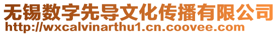 無錫數(shù)字先導(dǎo)文化傳播有限公司