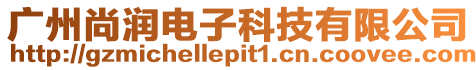 廣州尚潤電子科技有限公司