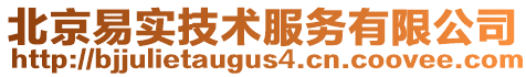 北京易實技術服務有限公司