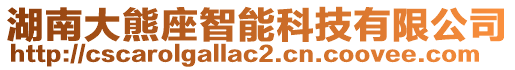 湖南大熊座智能科技有限公司