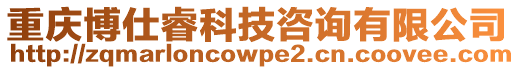 重慶博仕睿科技咨詢有限公司